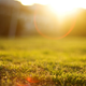 Image for article titled Shooting Challenge: Lens Flare Gallery Part Two